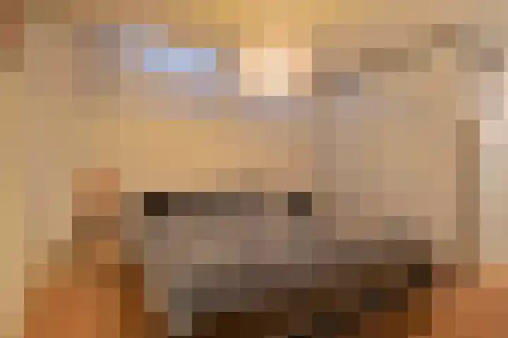 Nieuwe Tuinstraat 7 Amsterdam thumbnail 16