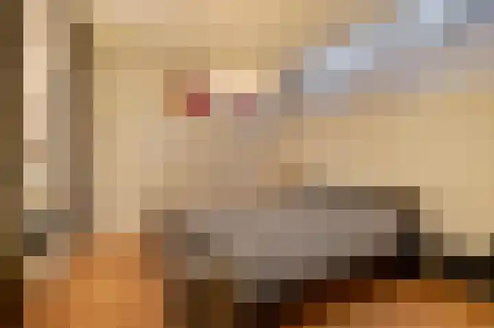 Nieuwe Tuinstraat 7 Amsterdam thumbnail 18