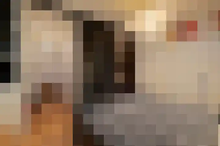 Nieuwe Tuinstraat 7 Amsterdam thumbnail 20