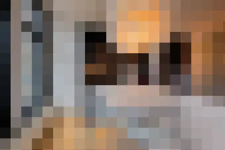 Nieuwe Tuinstraat 7 Amsterdam thumbnail 6