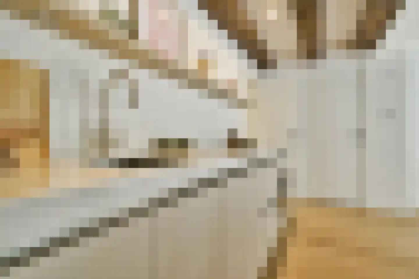 Nieuwe Uilenburgerstraat 13 G Amsterdam thumbnail 10