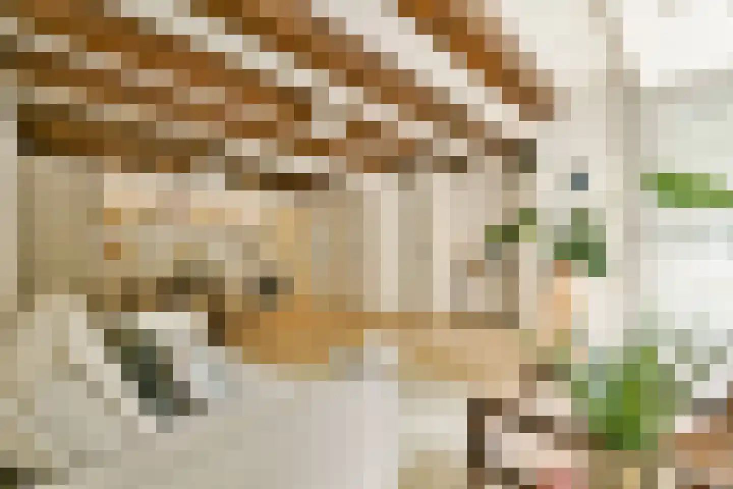 Nieuwe Uilenburgerstraat 13 G Amsterdam thumbnail 8