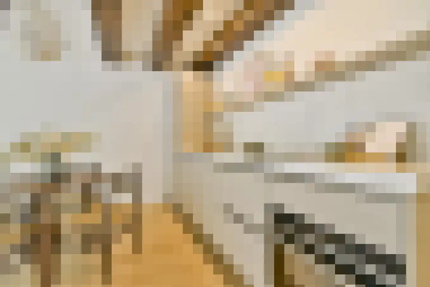 Nieuwe Uilenburgerstraat 13 G Amsterdam thumbnail 9