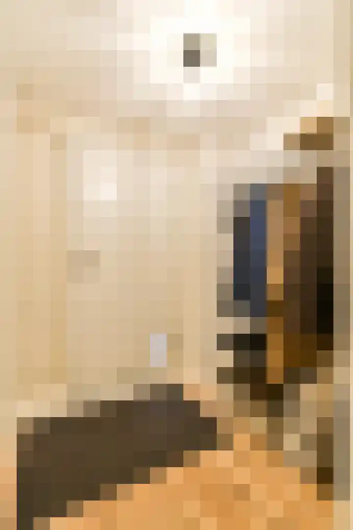Nieuwe Uilenburgerstraat 15 G Amsterdam thumbnail 6