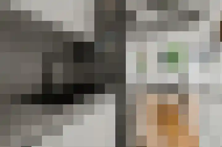 Nieuwe Uilenburgerstraat 17 K Amsterdam thumbnail 17