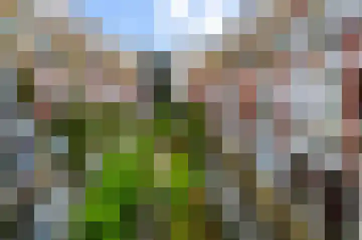 Nieuwe Uilenburgerstraat 17 K Amsterdam thumbnail 33