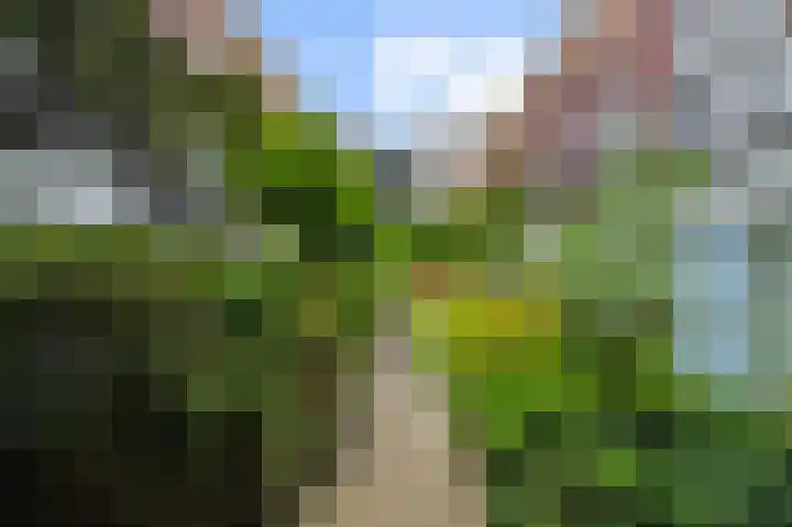 Nieuwe Uilenburgerstraat 17 K Amsterdam thumbnail 35