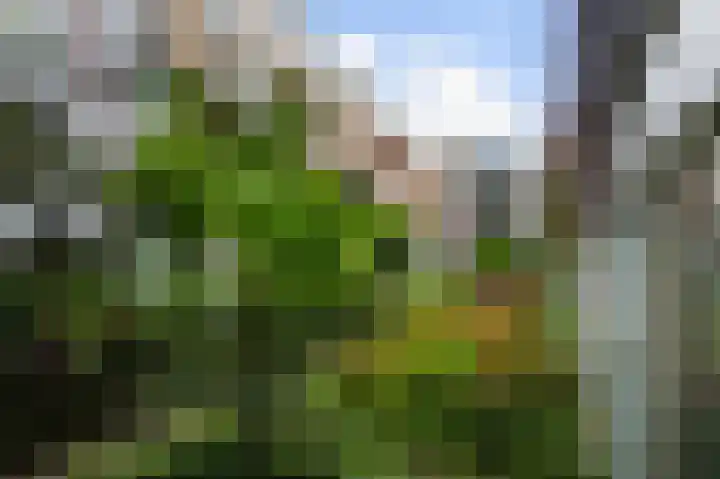 Nieuwe Uilenburgerstraat 17 K Amsterdam thumbnail 36