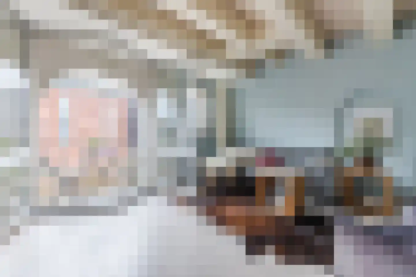 Nieuwe Uilenburgerstraat 17 N Amsterdam thumbnail 11