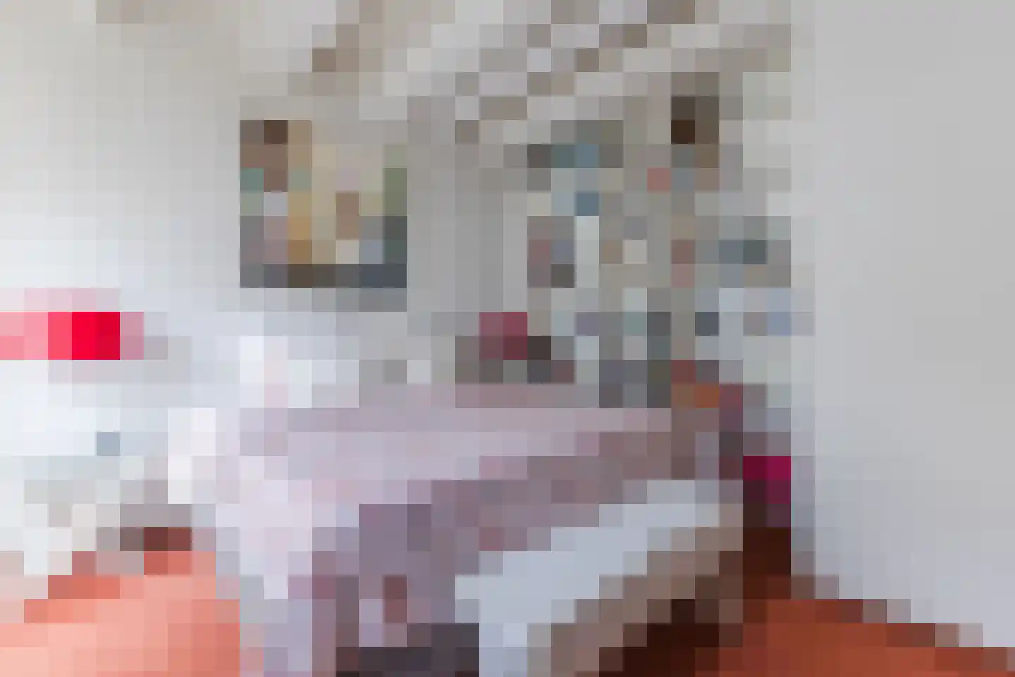 Nieuwe Uilenburgerstraat 17 N Amsterdam thumbnail 16