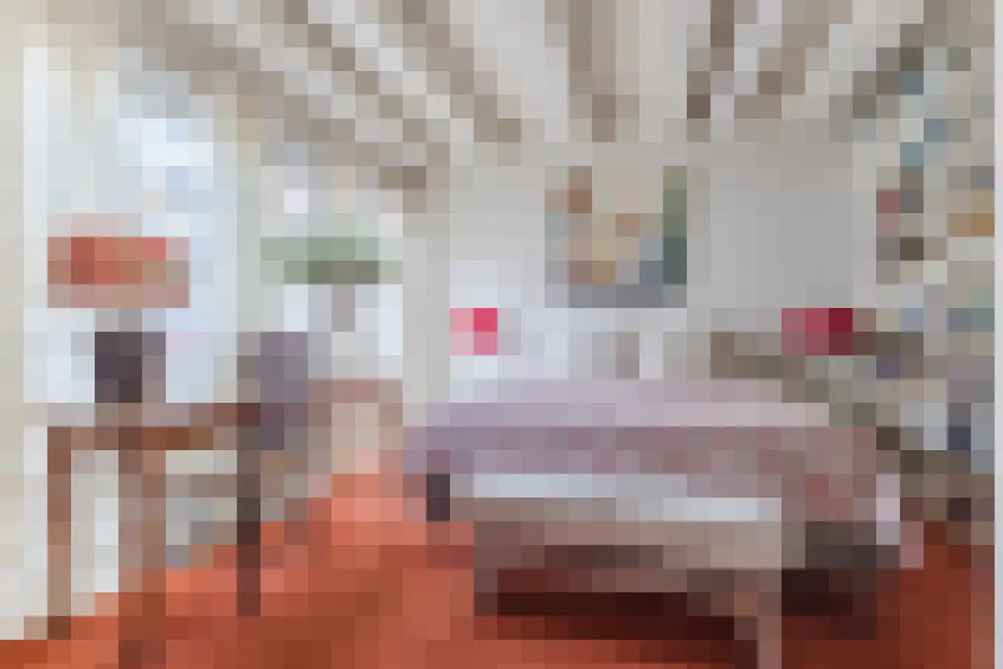 Nieuwe Uilenburgerstraat 17 N Amsterdam thumbnail 17