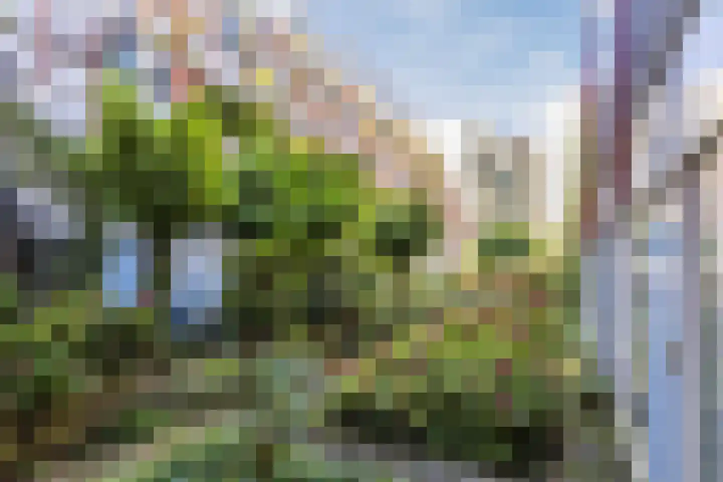 Nieuwe Uilenburgerstraat 17 N Amsterdam thumbnail 24