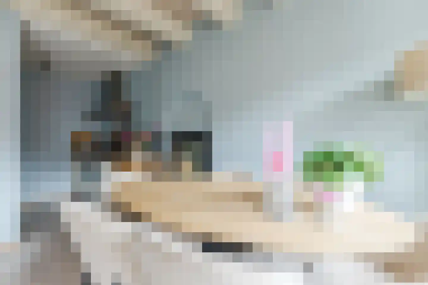 Nieuwe Uilenburgerstraat 17 N Amsterdam thumbnail 7