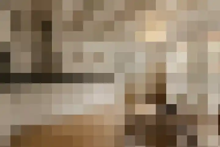 Nieuwe Uilenburgerstraat 19 B Amsterdam thumbnail 10