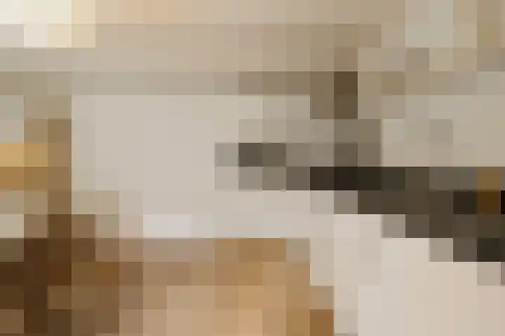 Nieuwe Uilenburgerstraat 19 B Amsterdam thumbnail 12