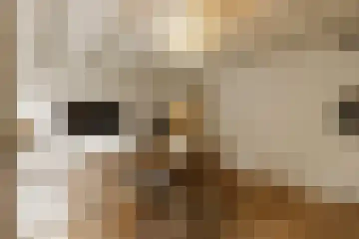 Nieuwe Uilenburgerstraat 19 B Amsterdam thumbnail 13