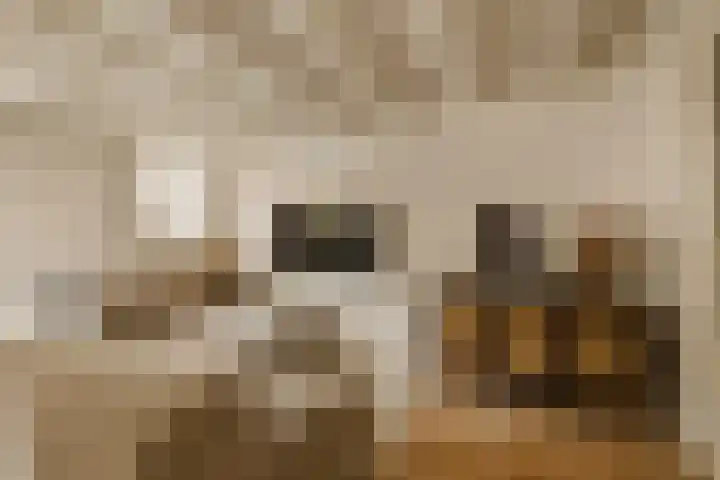 Nieuwe Uilenburgerstraat 19 B Amsterdam thumbnail 6