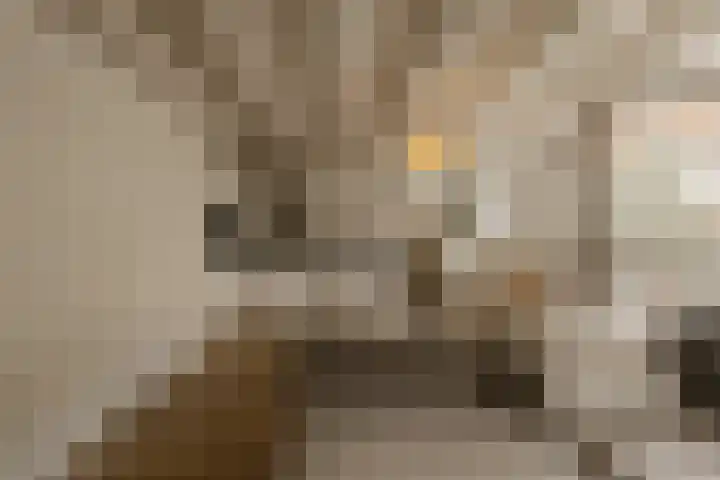 Nieuwe Uilenburgerstraat 19 B Amsterdam thumbnail 8