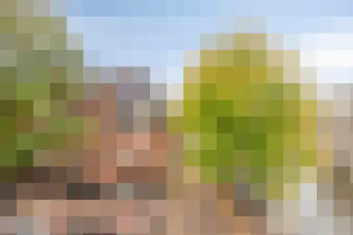 Nieuwe Uilenburgerstraat 3 S Amsterdam thumbnail 10