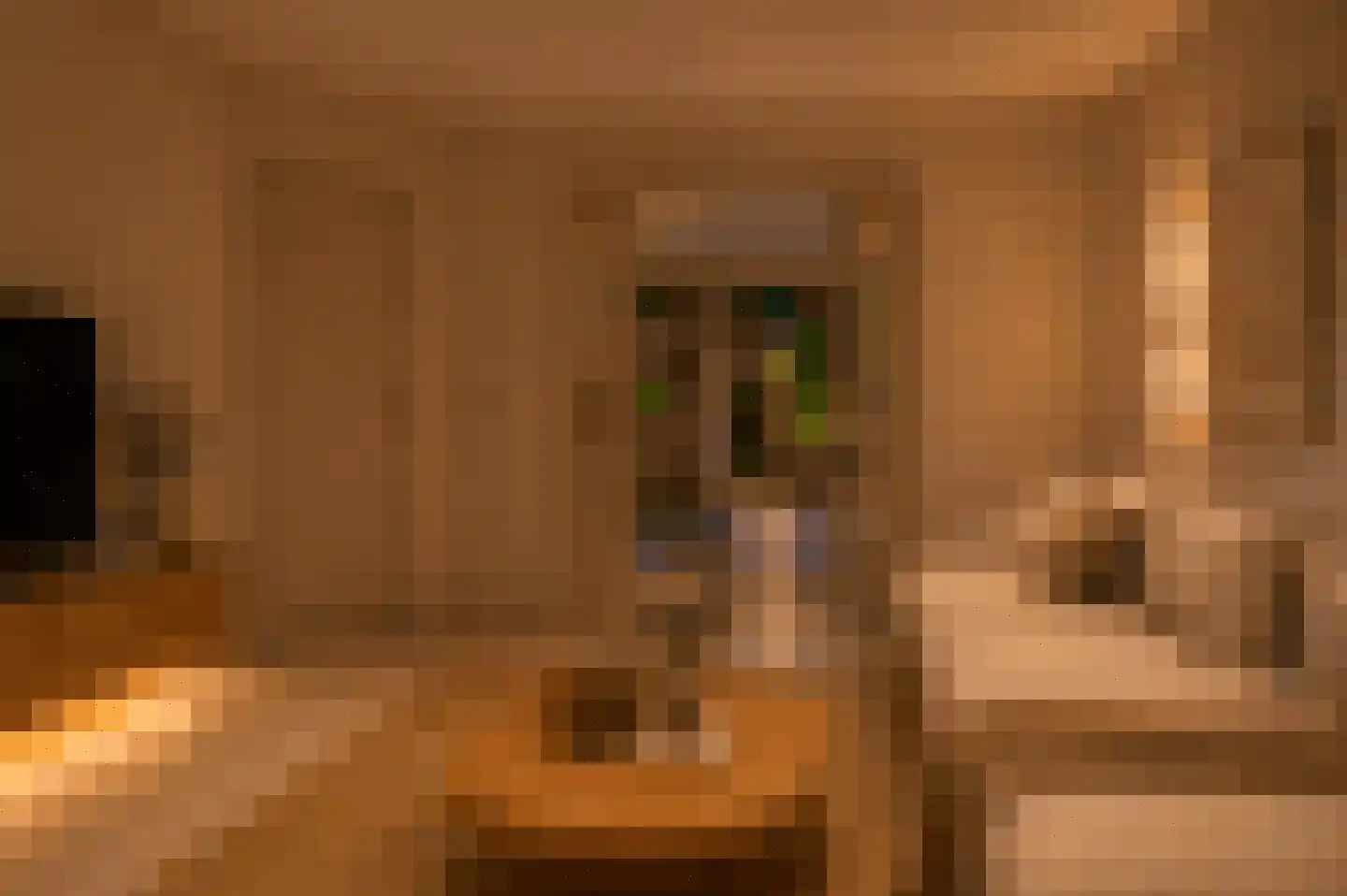 Nieuwe Uilenburgerstraat 70 1 Amsterdam thumbnail 34