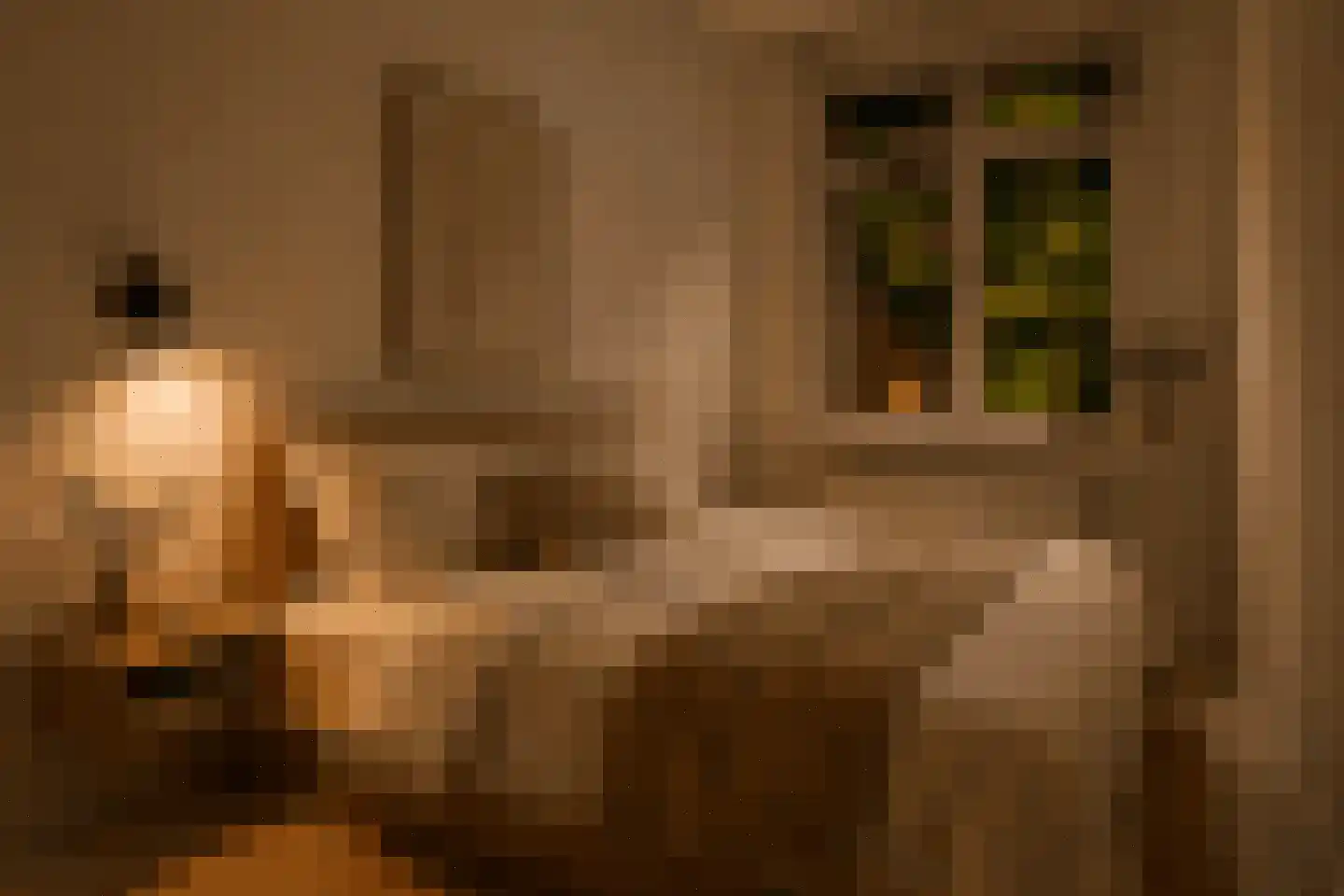 Nieuwe Uilenburgerstraat 70 1 Amsterdam thumbnail 38