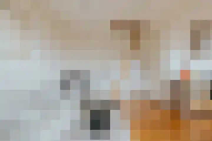 Nieuwe Uilenburgerstraat 86 2 Amsterdam thumbnail 13