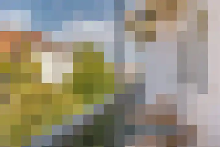 Nieuwe Uilenburgerstraat 86 2 Amsterdam thumbnail 16