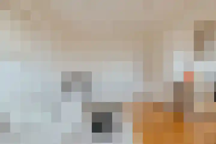 Nieuwe Uilenburgerstraat 86 2 Amsterdam thumbnail 4