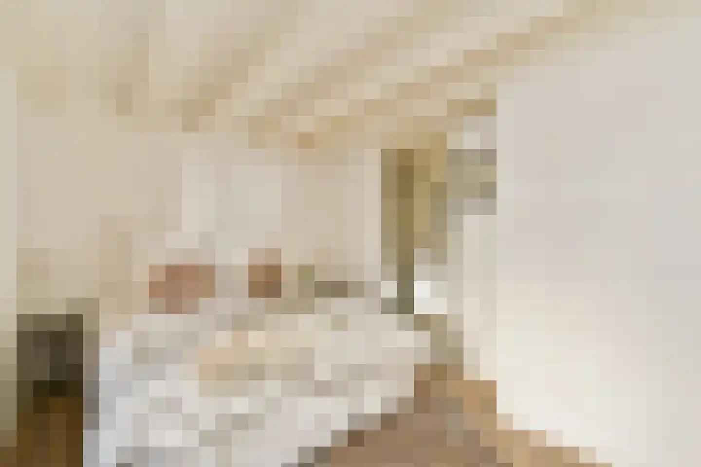 Nieuwe Uilenburgerstraat 9 A Amsterdam thumbnail 17