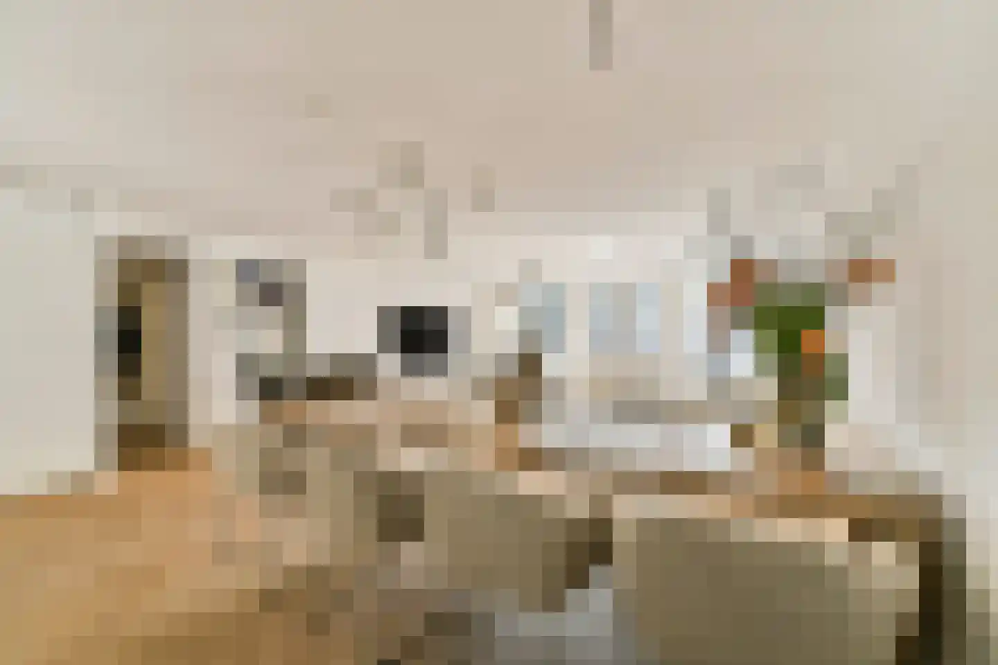 Nieuwe Uilenburgerstraat 9 H Amsterdam thumbnail 10