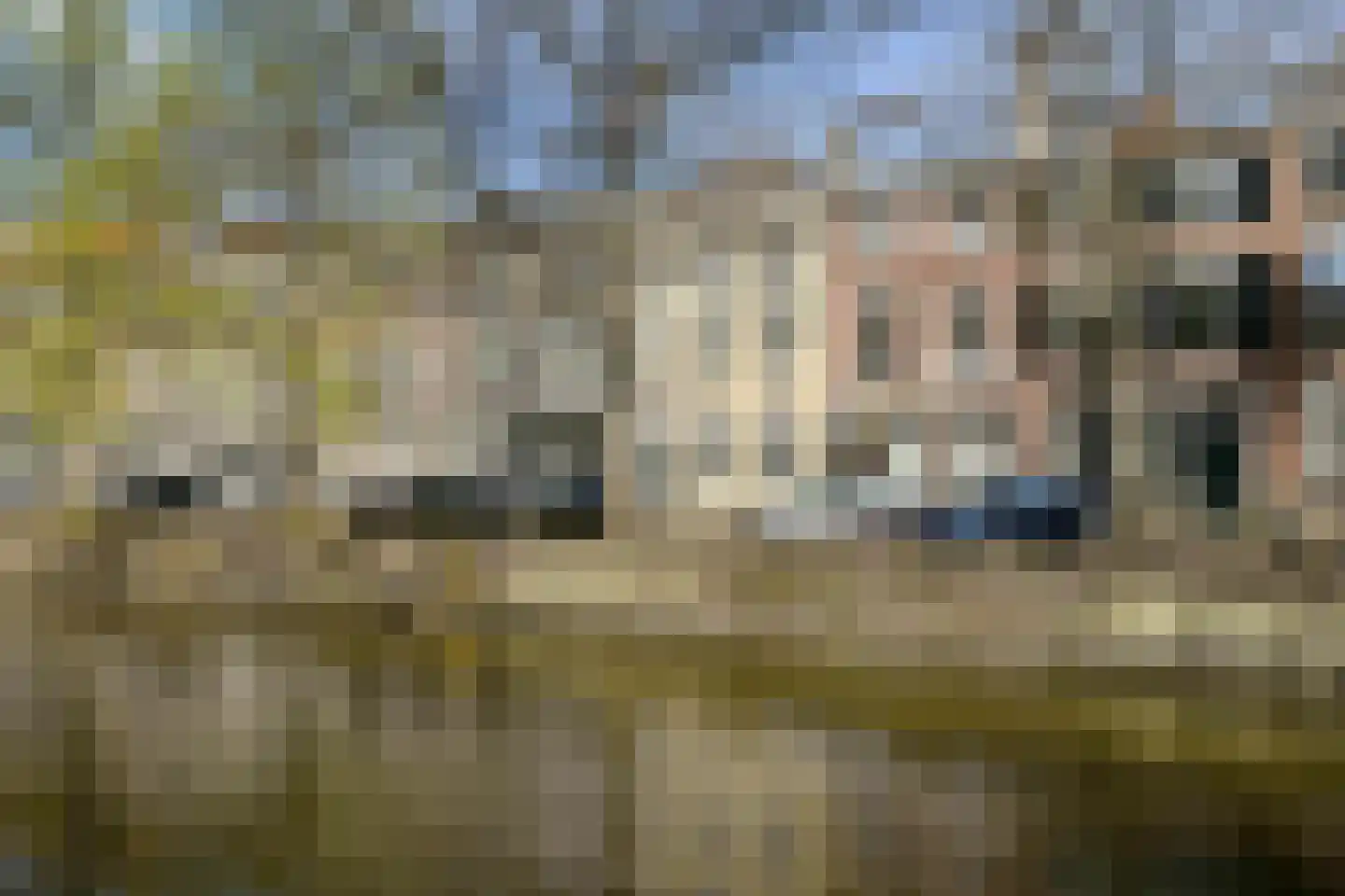 Nieuwe Uitleg 18 Den Haag