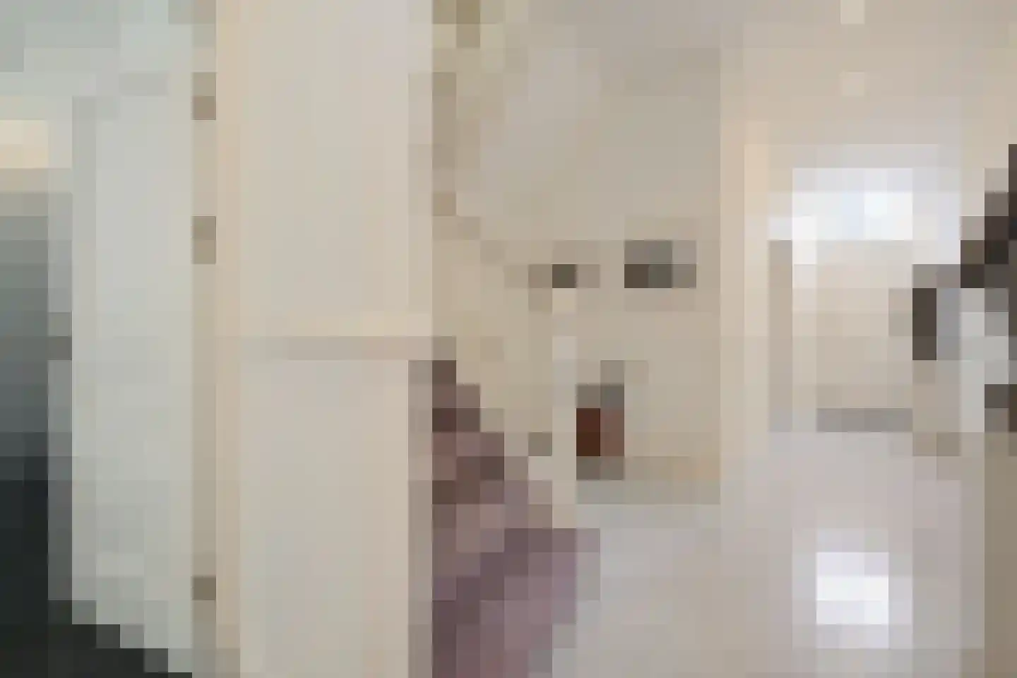 Nieuwe Uitleg 18 Den Haag thumbnail 12