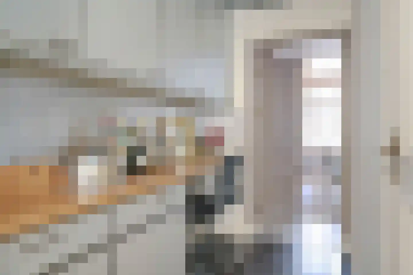Nieuwe Uitleg 18 Den Haag thumbnail 17