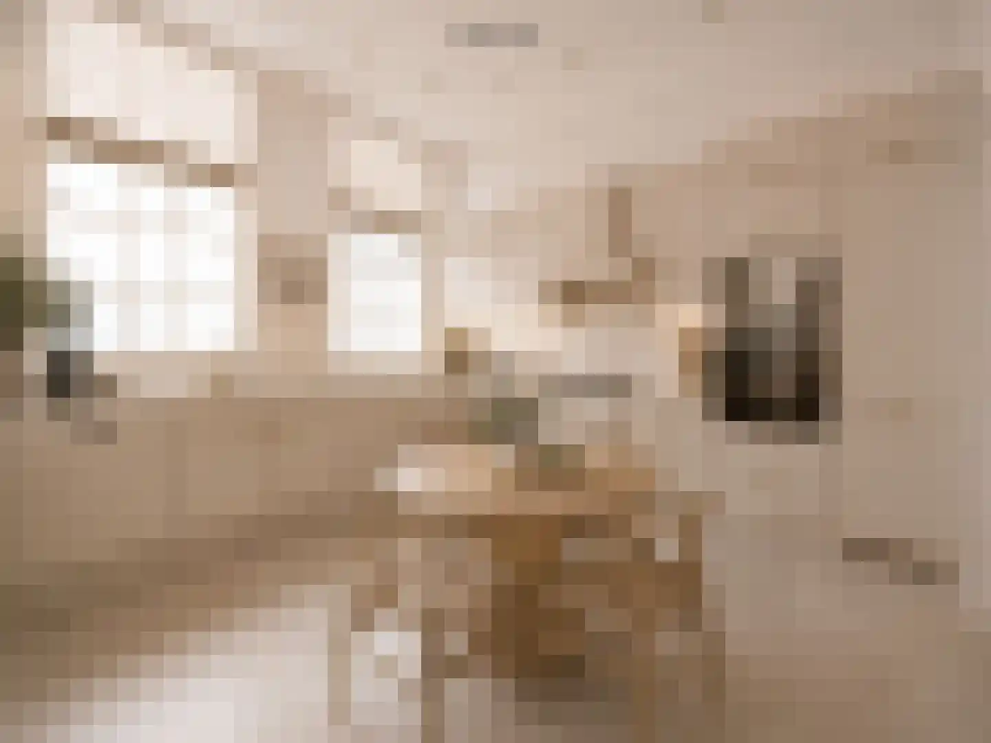Nieuwe Uitleg 18 Den Haag thumbnail 19