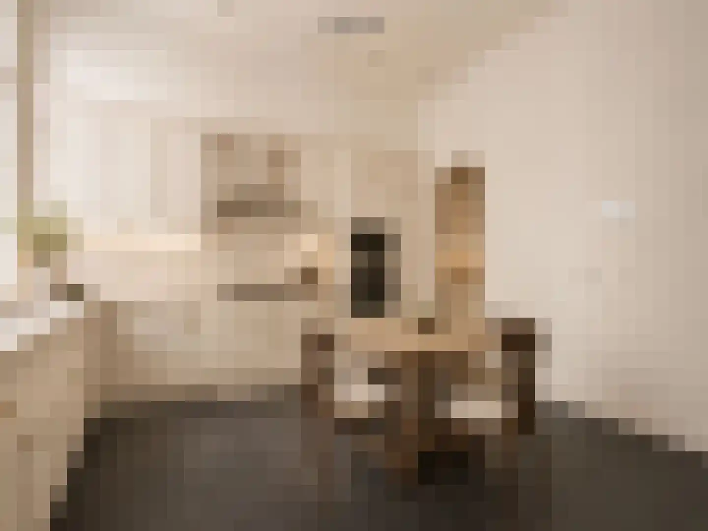 Nieuwe Uitleg 18 Den Haag thumbnail 22
