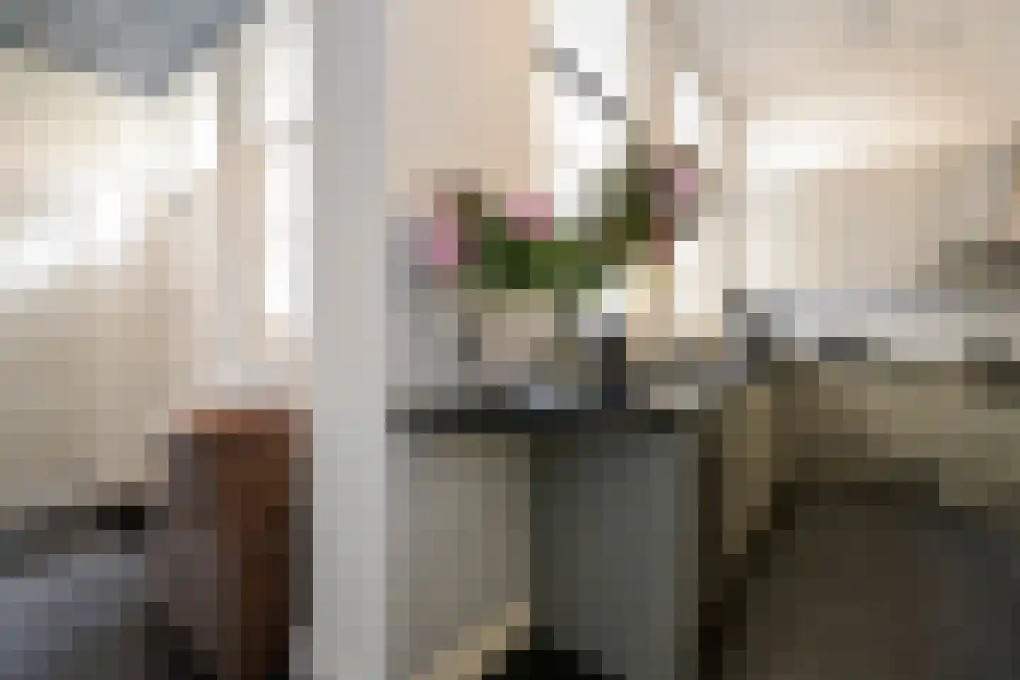 Nieuwe Uitleg 18 Den Haag thumbnail 24