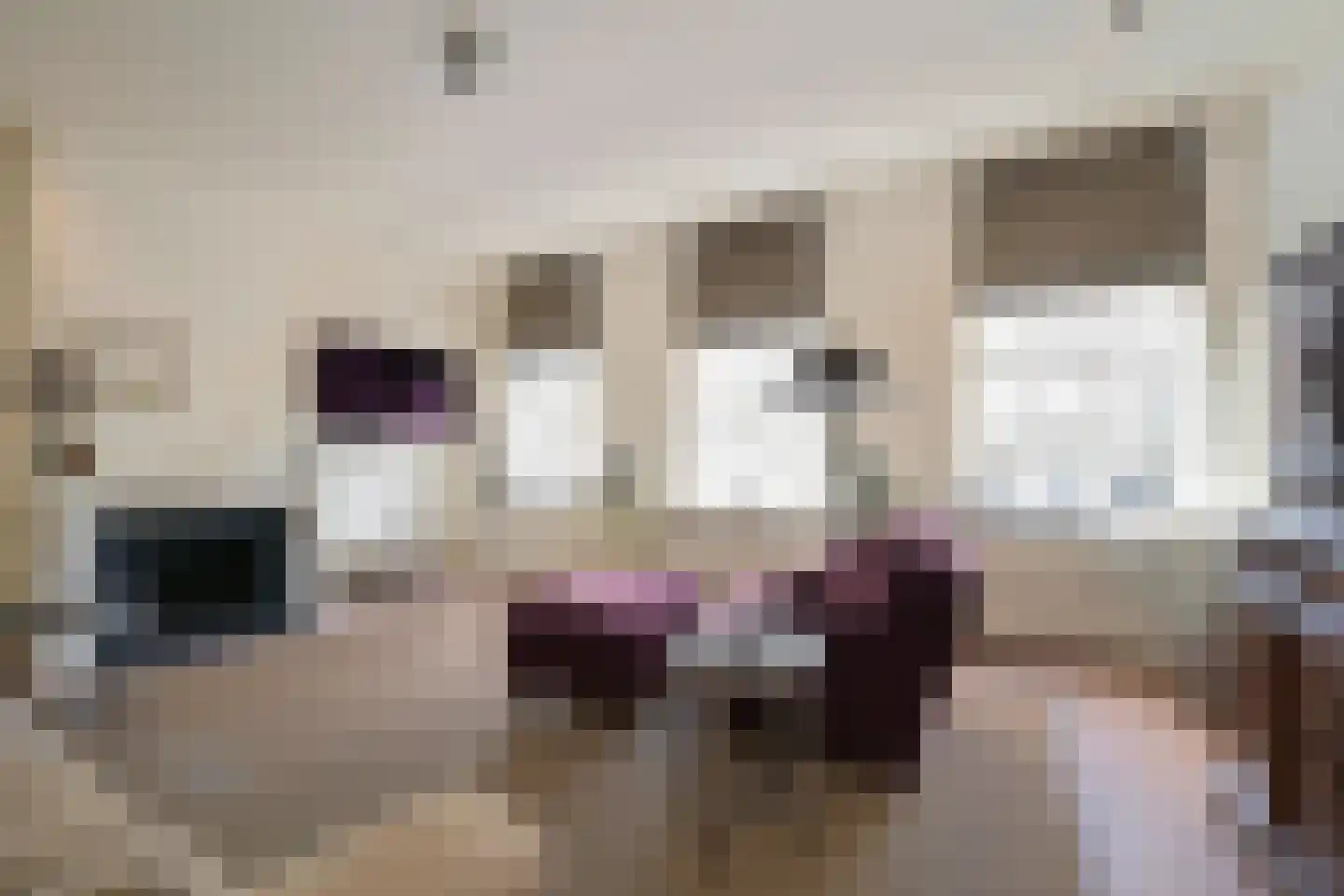 Nieuwe Uitleg 18 Den Haag thumbnail 29