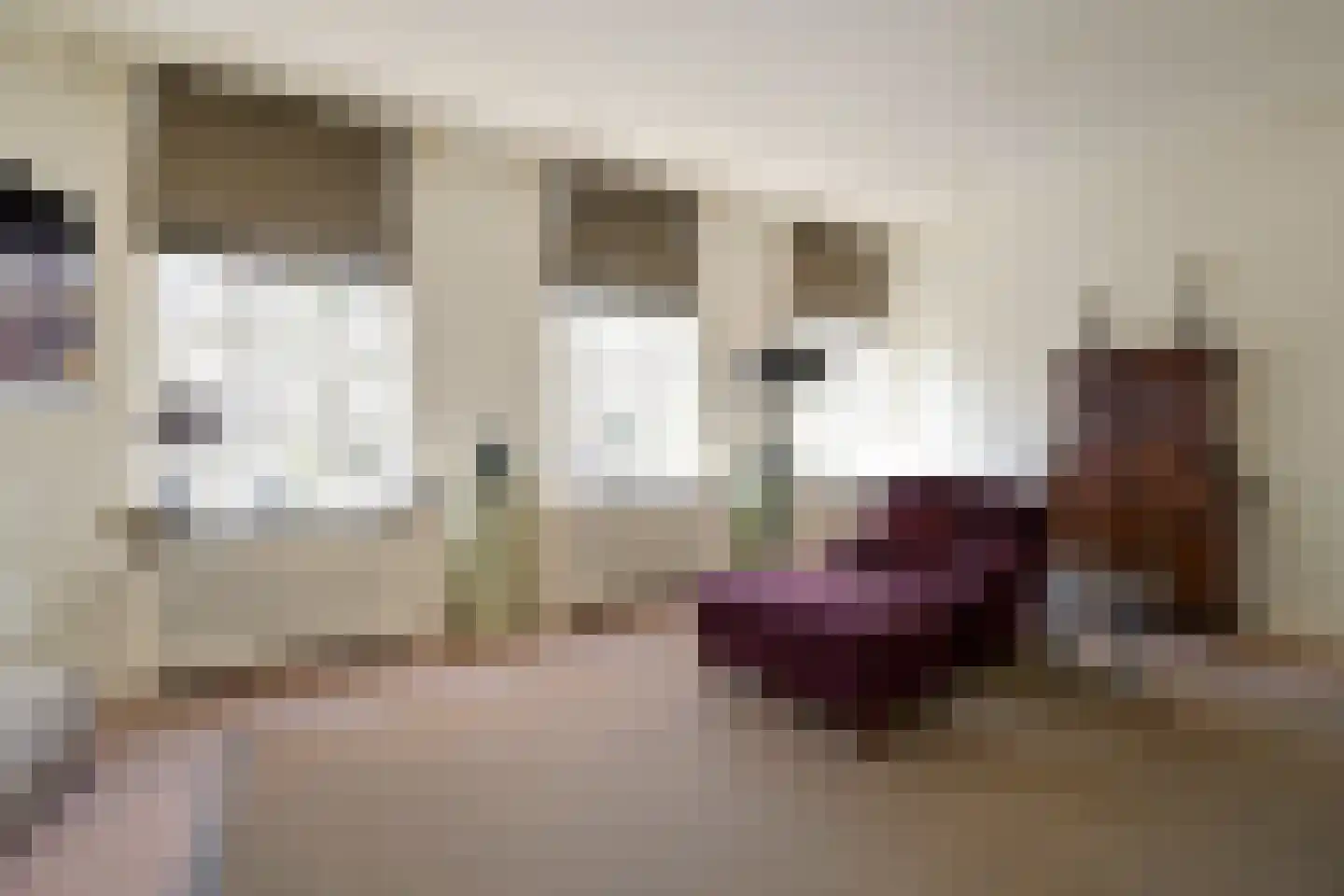 Nieuwe Uitleg 18 Den Haag thumbnail 30