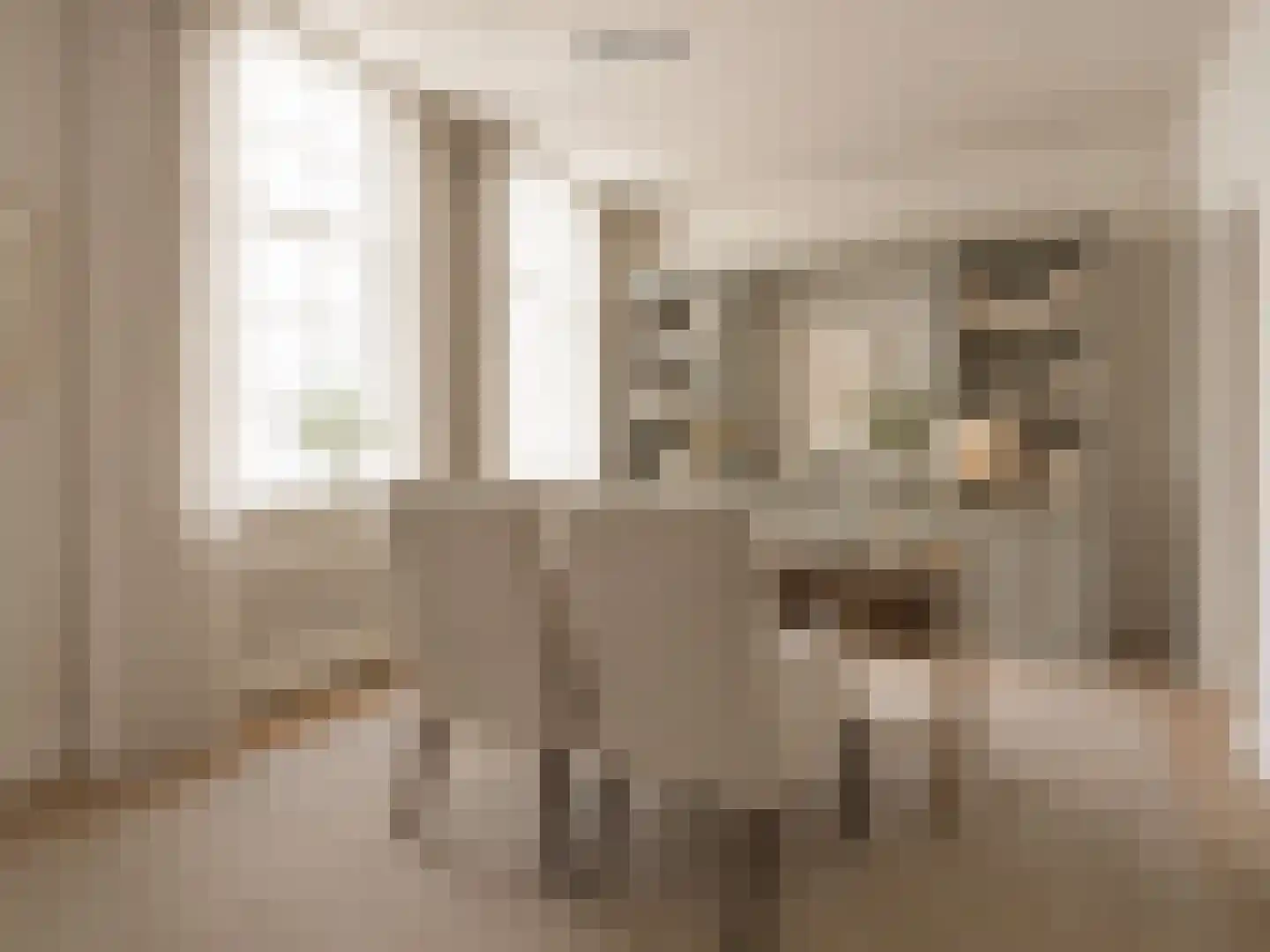 Nieuwe Uitleg 18 Den Haag thumbnail 33