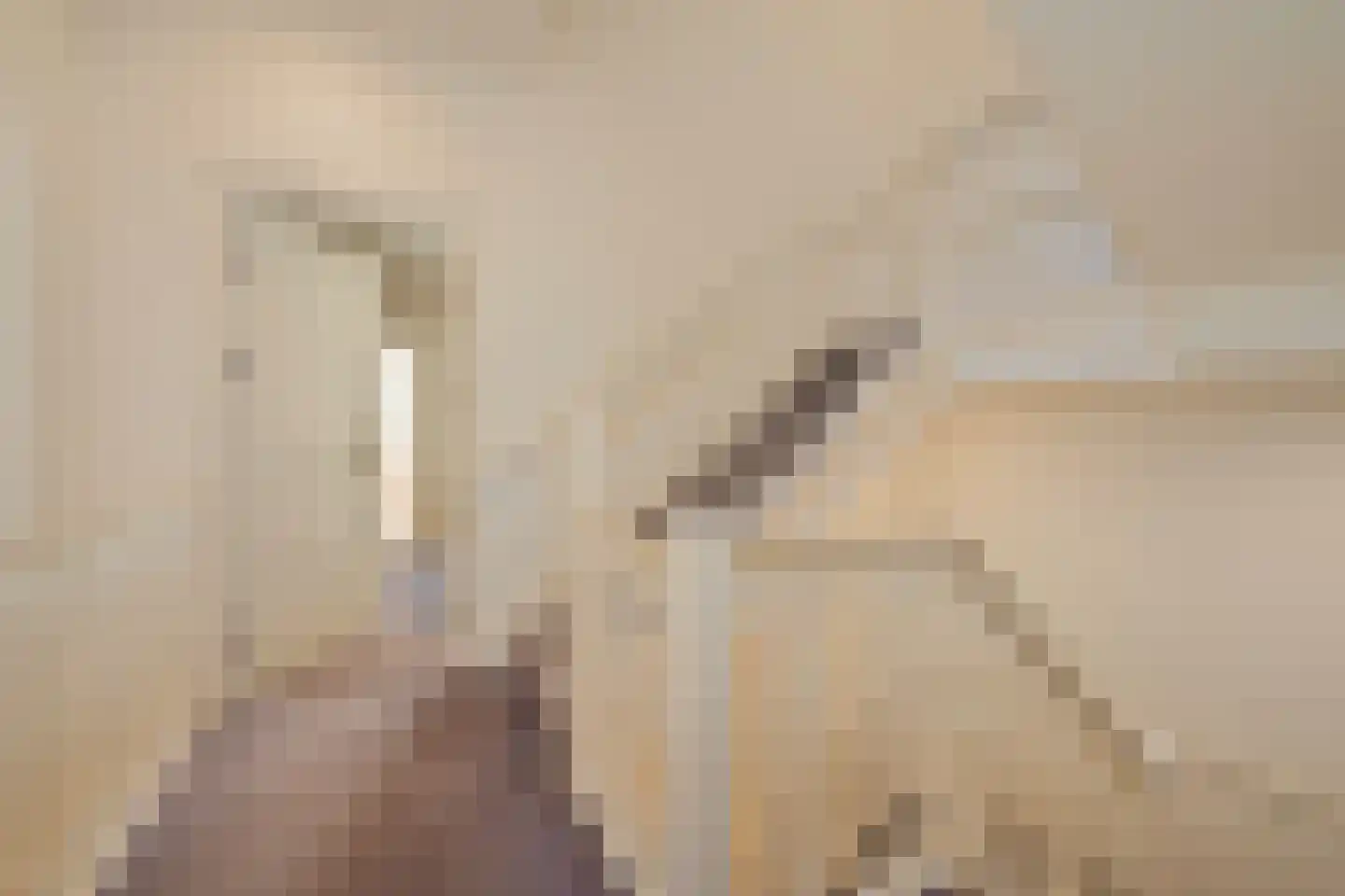 Nieuwe Uitleg 18 Den Haag thumbnail 37