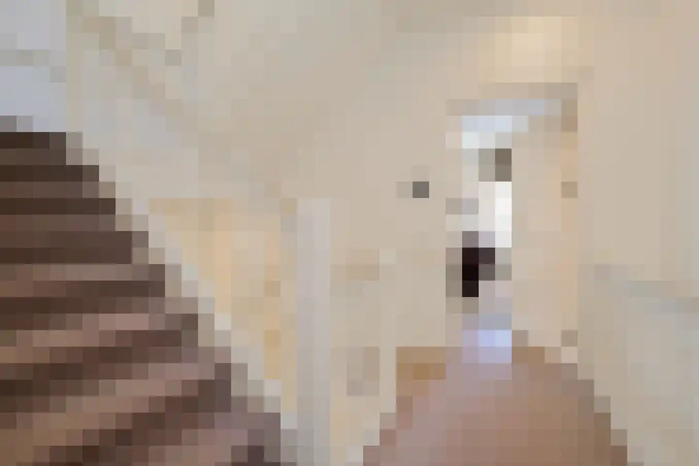 Nieuwe Uitleg 18 Den Haag thumbnail 38
