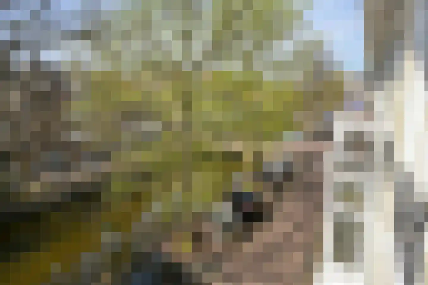 Nieuwe Uitleg 18 Den Haag thumbnail 43