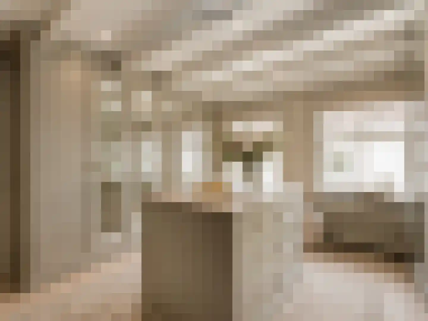 Nieuwe Uitleg 18 Den Haag thumbnail 49
