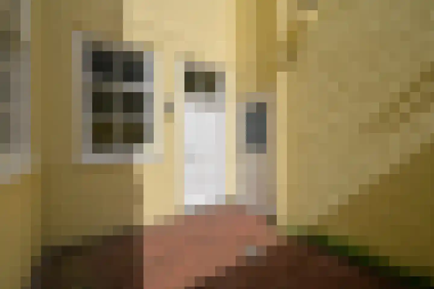 Nieuwe Uitleg 18 Den Haag thumbnail 57