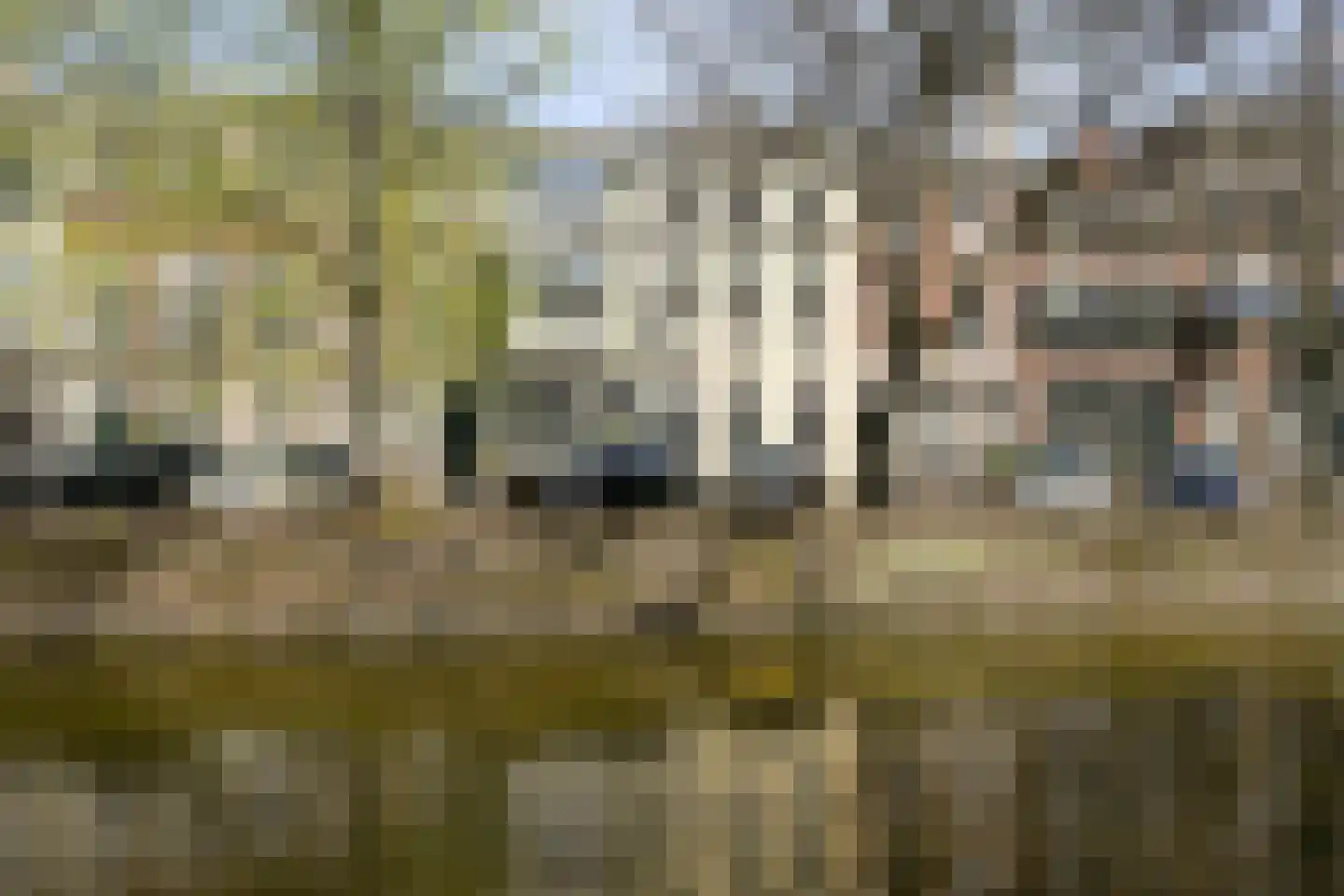 Nieuwe Uitleg 18 Den Haag thumbnail 7
