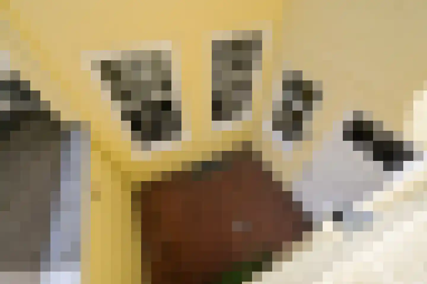 Nieuwe Uitleg 18 Den Haag thumbnail 70