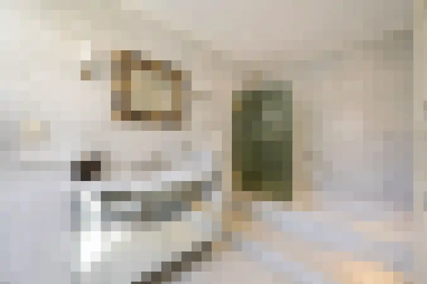Nieuwe Uitleg 18 Den Haag thumbnail 73