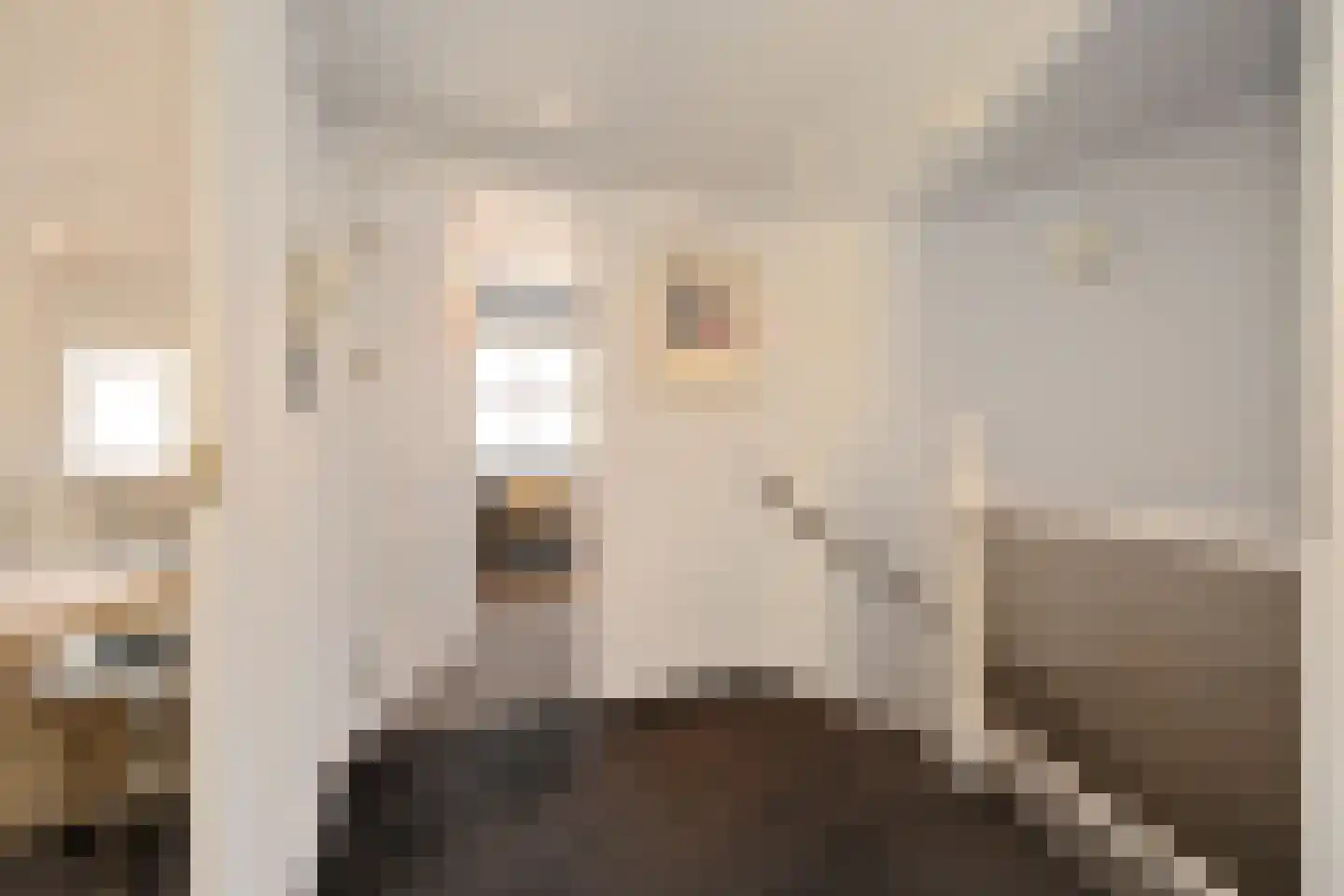 Nieuwe Uitleg 18 Den Haag thumbnail 75