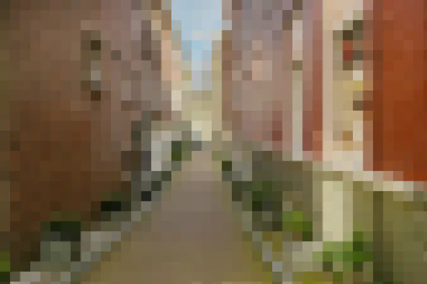 Nieuwe Uitleg 18 Den Haag thumbnail 79