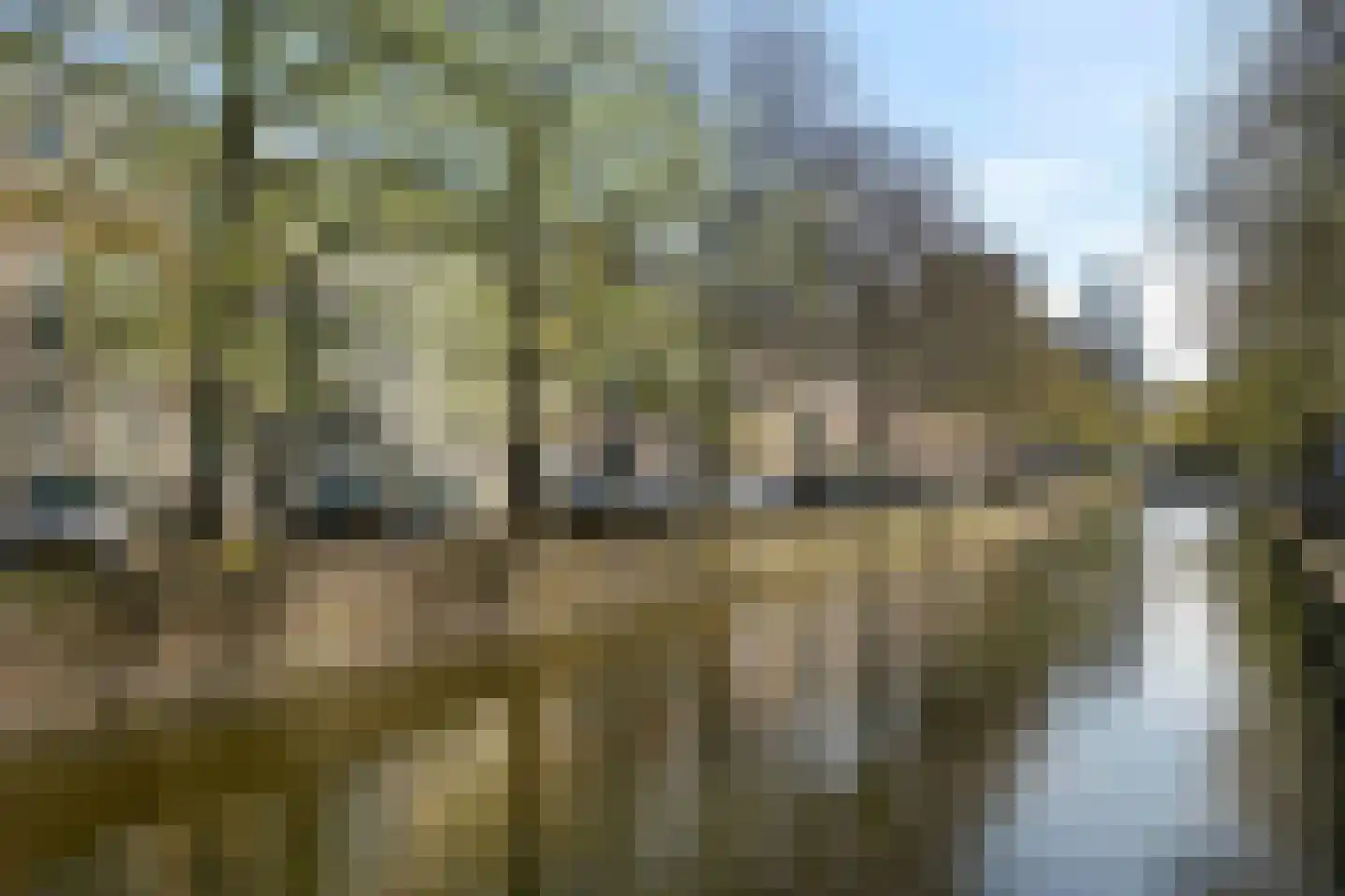 Nieuwe Uitleg 18 Den Haag thumbnail 82